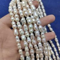 Perles de culture d'eau douce Keishi, perle d'eau douce cultivée, calebasse, DIY, blanc, 7mm Environ 15 pouce, Vendu par brin