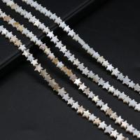 Natural Freshwater Shell Beads, Star, DIY Approx 15 Inch 