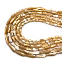 Shell Beads, Teardrop, DIY .96 Inch 