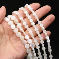 Seashell Beads, Natural Seashell, Flat Round, DIY white Approx 15 Inch 