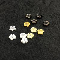 Natural Freshwater Shell Beads, Flower, polished, DIY 