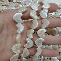 Perles de culture d'eau douce Keishi, perle d'eau douce cultivée, baroque, blanc, 13-14mm Environ 15.35 , Vendu par brin