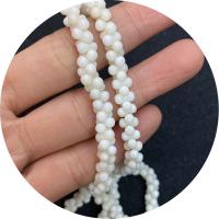 Natural Coral Necklace, DIY, white .96 Inch 
