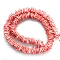 Dyed Shell Beads, DIY 10mm .96 Inch 