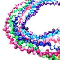Dyed Shell Beads, Freshwater Shell, DIY 