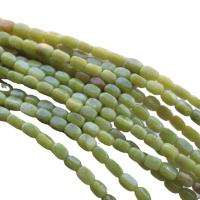 Southern Jade Beads, polished, DIY, green .35 Inch 