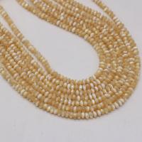 Trochus perles, Horseshoe-Shell, abaque, DIY & normes différentes pour le choix  .5 pouce, Vendu par brin