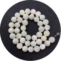 Natural White Shell Beads, Round, DIY white, 4-14mm .96 Inch 