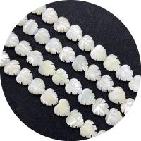 Natural White Shell Beads, DIY white, 10-21mm .96 Inch 
