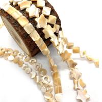 Natural Yellow Shell Beads, DIY 6-18mm .96 Inch 