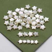 Natural Freshwater Shell Beads, Star, Carved, DIY 6-8mm 