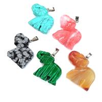 Gemstone ювелирные изделия Кулон, Природный камень, Слон, различные материалы для выбора & Мужская, Много цветов для выбора продается PC