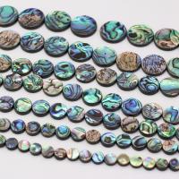 Abalone Shell Beads, Round 