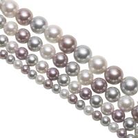 South Sea Shell Beads, Shell Pearl, Round, plated, DIY mixed colors Approx 15.75 Inch 