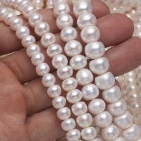Bouton de culture des perles d'eau douce, perle d'eau douce cultivée, DIY & normes différentes pour le choix, blanc Environ 15 pouce, Vendu par brin