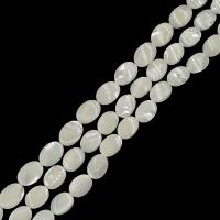Weiße Lippenschale Perlen, DIY & verschiedene Größen vorhanden, weiß, Länge:ca. 15 ZollInch, verkauft von Strang