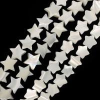 Natural White Shell Beads, Star, DIY white Approx 15 Inch 