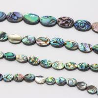 Abalone Shell Beads, Oval multi-colored 