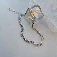 Titanium Steel Jewelry Necklace, polished, Unisex, silver color cm 