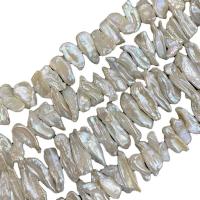 Biwa Cultured Freshwater Pearl Beads, irregular, DIY, white, 7-9mm Approx 15 Inch 