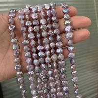 Perles de culture d'eau douce Keishi, perle d'eau douce cultivée, Irrégulière, DIY, violet, 7mm Environ 15 pouce, Vendu par brin