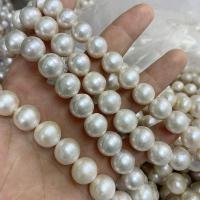 Round Cultured Freshwater Pearl Beads white Approx 15.75 Inch 