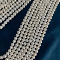 Perlas Redondas Freshwater, perla, Esférico, Bricolaje, Blanco, 4mm, longitud:aproximado 15.35 Inch, Vendido por Sarta
