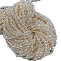 Rice Cultured Freshwater Pearl Beads, DIY, white, 4mm Approx 13.39 Inch 
