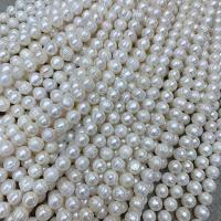 Bouton de culture des perles d'eau douce, perle d'eau douce cultivée, Rond, blanc, 10-11mm Environ 13.78 pouce, Vendu par brin