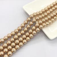 Muschelkern Perle, rund, poliert, DIY, keine, 10mm, Länge:ca. 15 ZollInch, verkauft von Strang