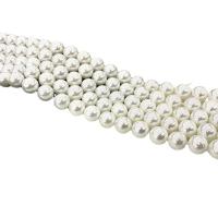 Muschelkern Perle, rund, DIY & verschiedene Größen vorhanden, weiß, Länge:ca. 15 ZollInch, verkauft von Strang