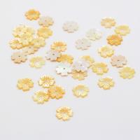 Natural Freshwater Shell Beads, Natural Seashell, Flower, Carved, DIY, yellow 
