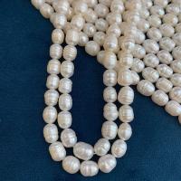 Perlas Botón Freshwater , perla, Irregular, Bricolaje, Blanco, 8mm, longitud:aproximado 14.17 Inch, Vendido por Sarta