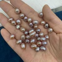 Natural Freshwater Pearl Loose Beads, Rice, DIY 7-8mm 