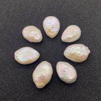 Natural Freshwater Pearl Loose Beads, irregular, polished, Unisex, white 
