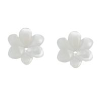 coquille calotte de perle, fleur, blanc Vendu par PC