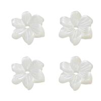 Shell Bead Cap, Flower, white Approx 1mm 