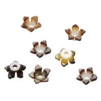 Muschel Perlkappen, Blume, braun, 6x6x2.5mm, Bohrung:ca. 1mm, verkauft von PC