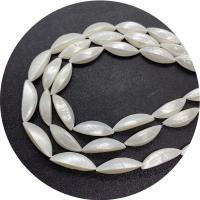 Natural White Shell Beads, DIY, white .96 Inch 