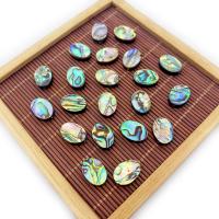 Abalone Shell Beads, Flat Oval, DIY 6-18x8-25mm 