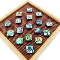 Abalone Shell Beads,  Square, DIY 10-14mm 
