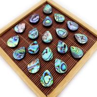 Abalone Shell Beads, Teardrop, DIY 