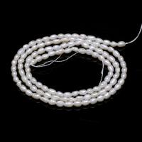 Rice Cultured Freshwater Pearl Beads, DIY, white, 2-2.5mm .96 Inch 
