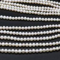Potato Cultured Freshwater Pearl Beads, DIY, white, 5-5.5mm .96 Inch 