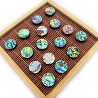 Abalone Shell Beads, Flat Round, DIY 8-20mm 