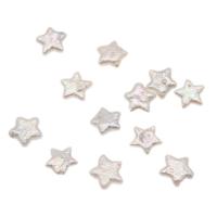 No Hole Cultured Freshwater Pearl Beads, Star, white, 11-13mm 