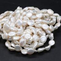 Keshi kultivierte Süßwasserperlen, Natürliche kultivierte Süßwasserperlen, DIY, weiß, 12-13mm, Länge:14.17 ZollInch, verkauft von Strang