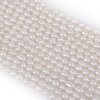 Rice Cultured Freshwater Pearl Beads, DIY, white, 2.8-3.2mm .96 Inch 