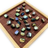 Abalone Shell Beads, DIY, 10mm 