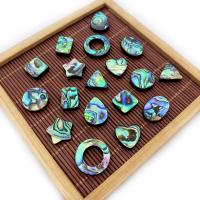 Abalone Shell Beads, DIY 8-20mm 